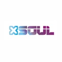 AURICULAR SOUL AUR-BT400GR GRIS