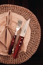 TENEDOR P/ASADO TRAMONTINA 21136/070  JUMBO POLYWOOD 12PZS ROJO