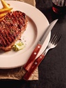 TENEDOR DE MESA TRAMONTINA 21198/718 POLYWOOD 60PZS ROJO
