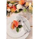 TENEDOR DE MESA TRAMONTINA 63917/020 MONACO 12PZS